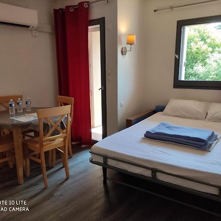 Appartement Les Palmiers Νίκαια Εξωτερικό φωτογραφία