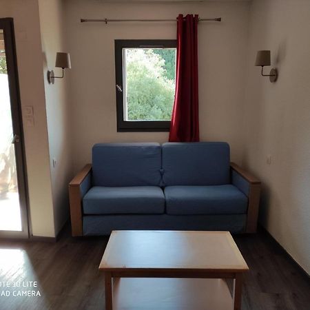 Appartement Les Palmiers Νίκαια Εξωτερικό φωτογραφία